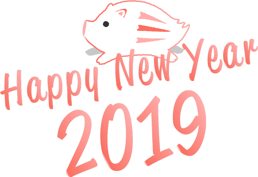 happy new year 2019
