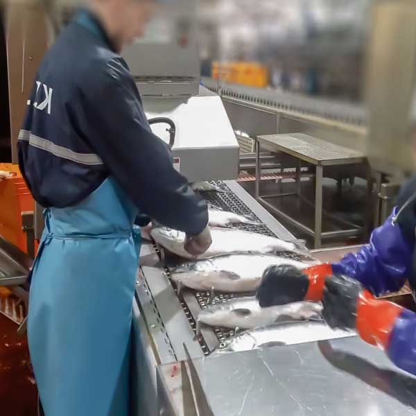 seafood