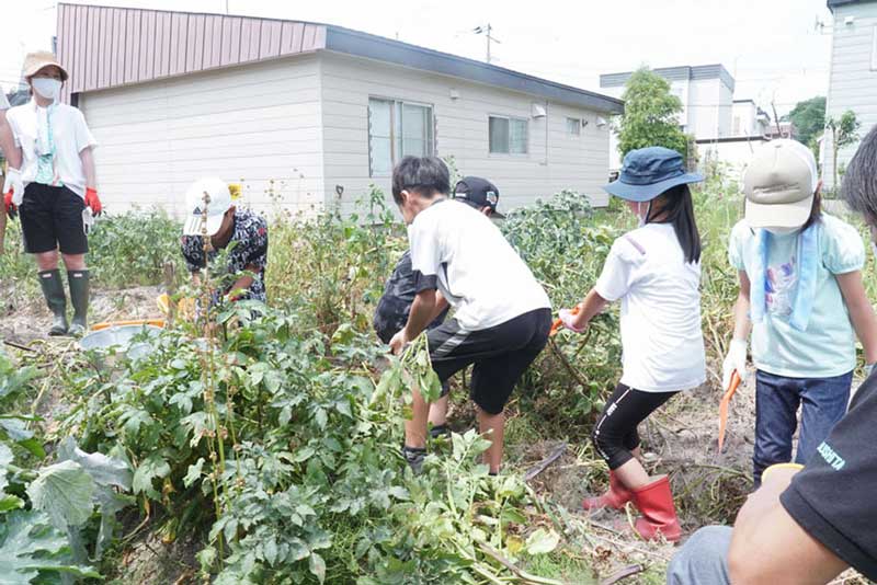 ヤブシタ農園