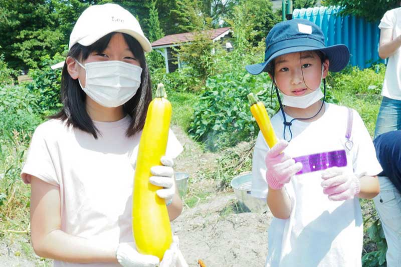 ヤブシタ農園