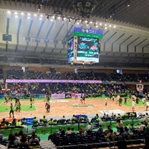 レバンガ北海道