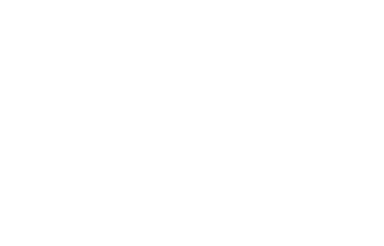 YABUSHITA